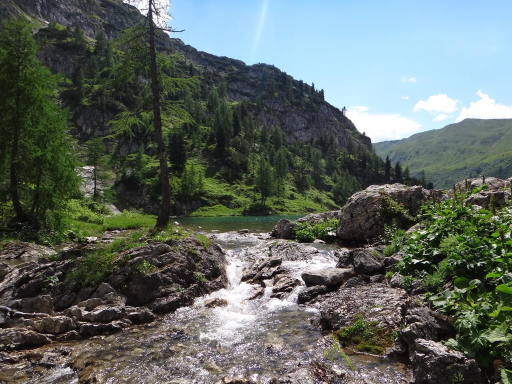 Ausserraingut Flachau Esterno foto