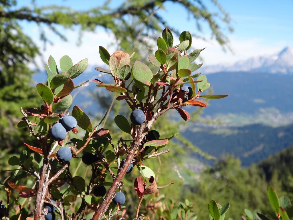 Ausserraingut Flachau Esterno foto