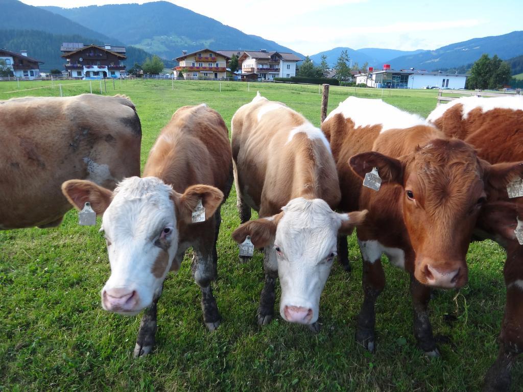Ausserraingut Flachau Esterno foto